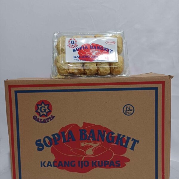 Sopia BANGKIT